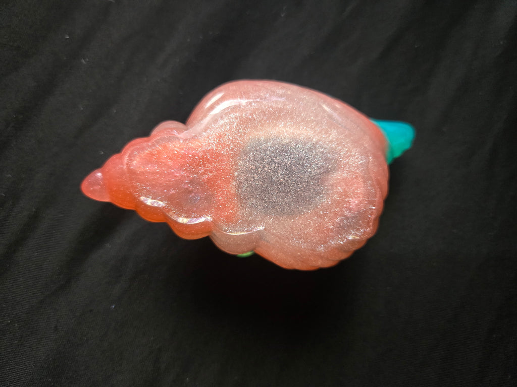 Sea shell