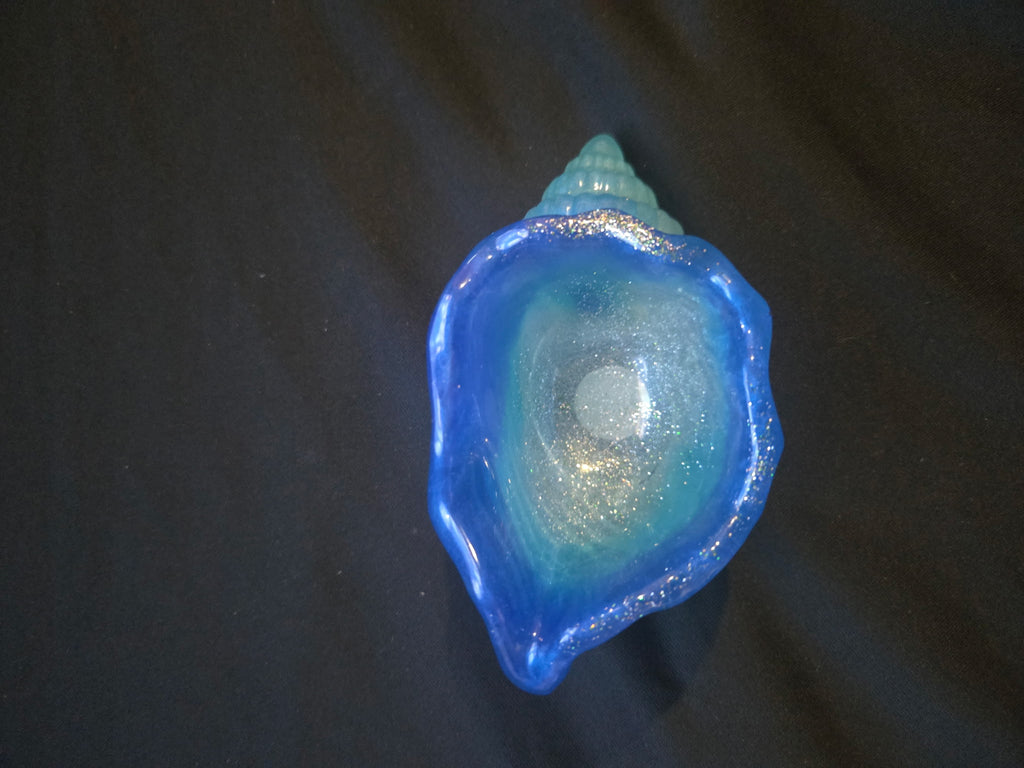 Sea shell