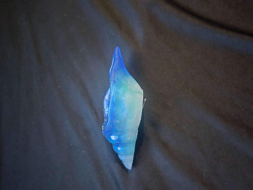 Sea shell