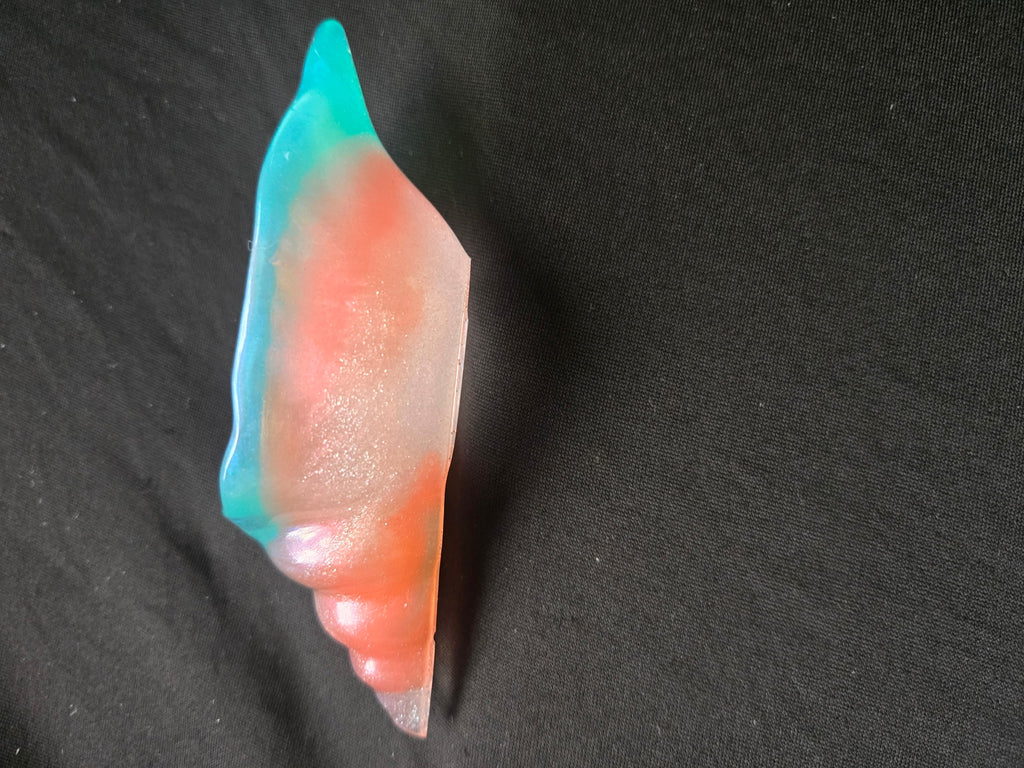 Sea shell