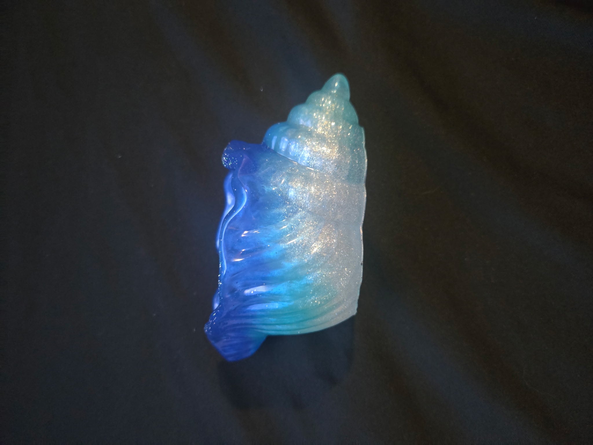 Sea shell