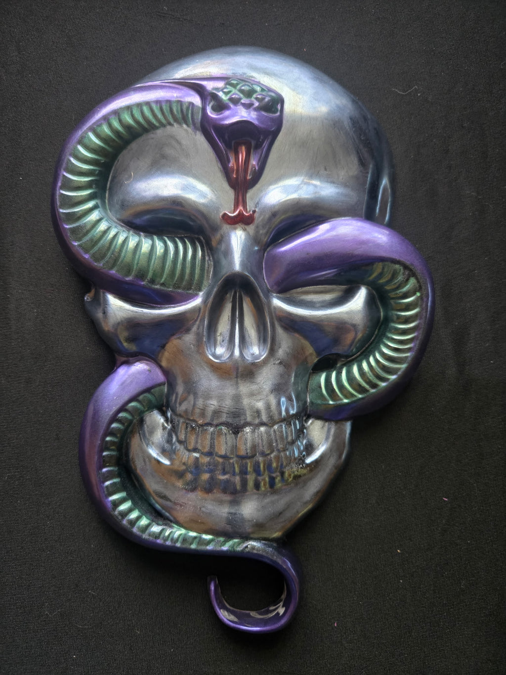 Skull with snake wall art