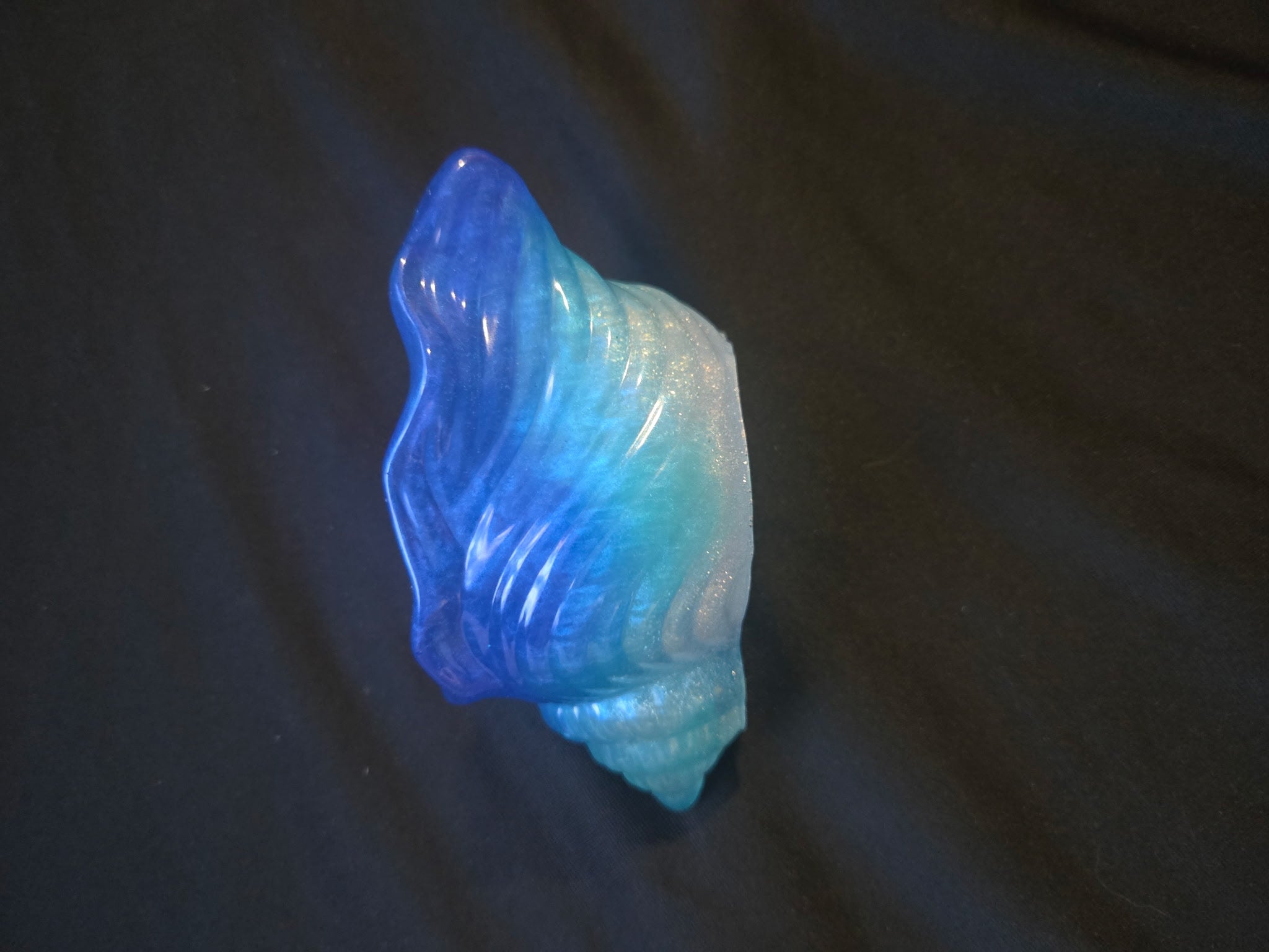 Sea shell