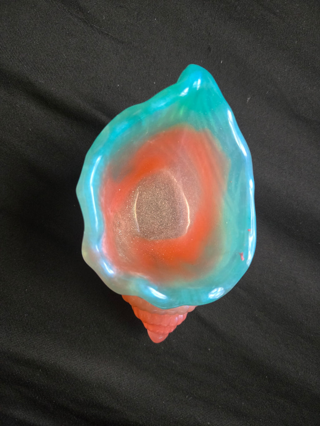 Sea shell