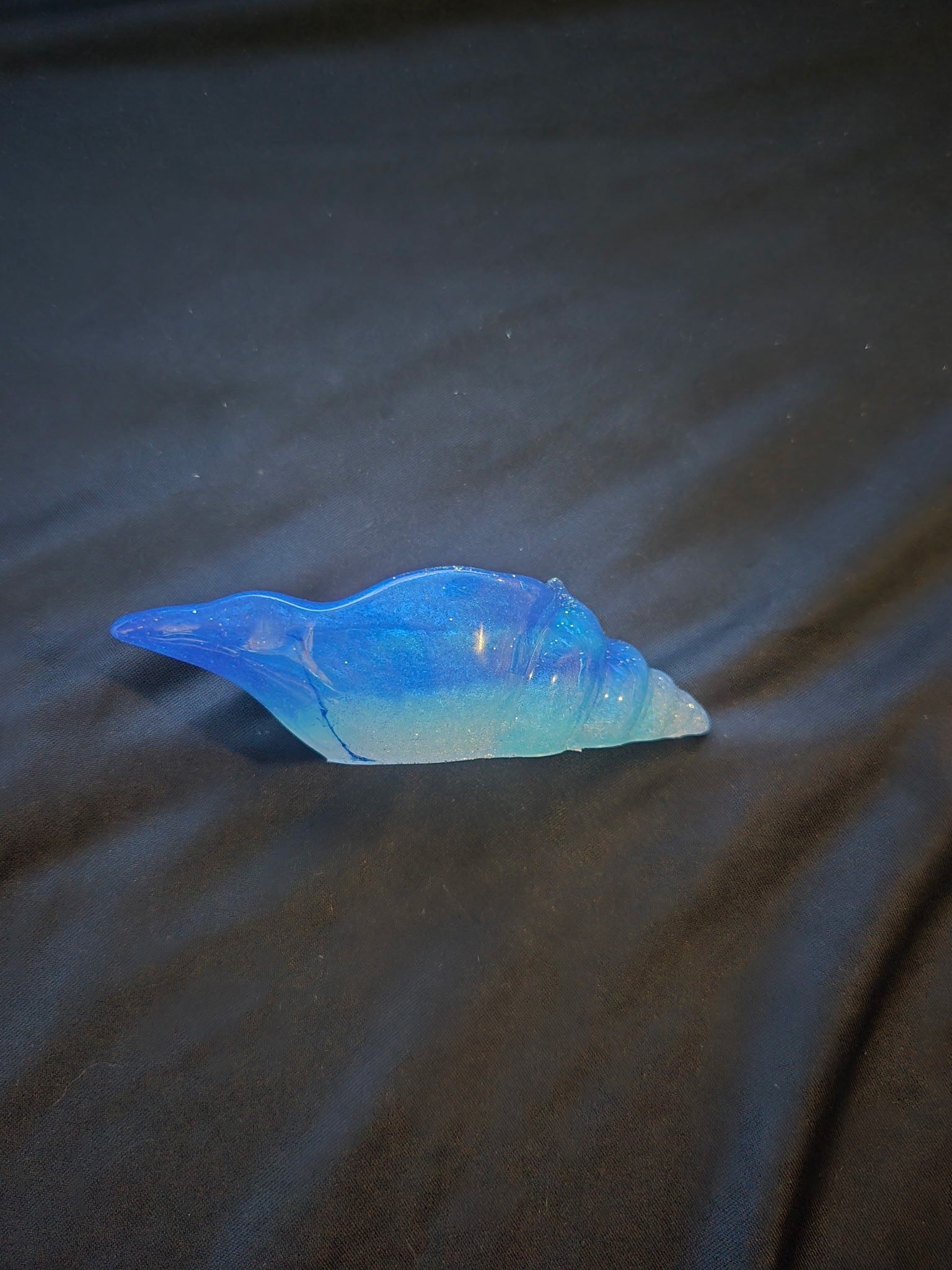 Sea shell