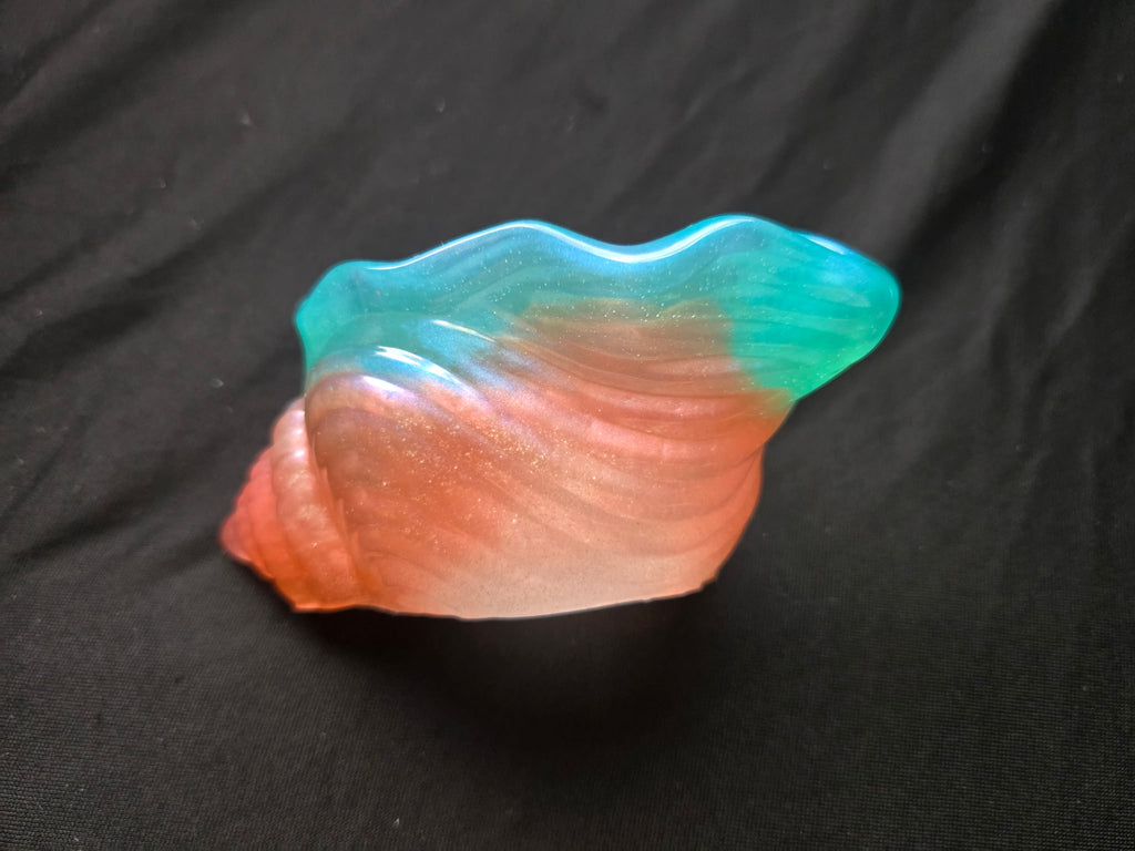 Sea shell