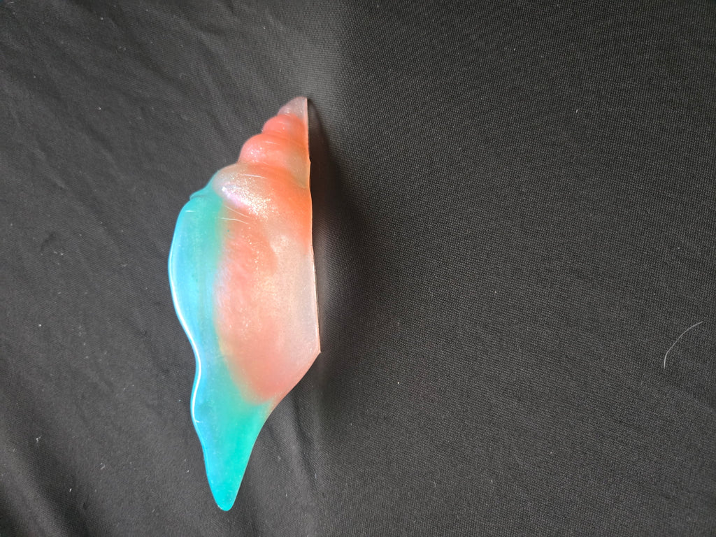 Sea shell