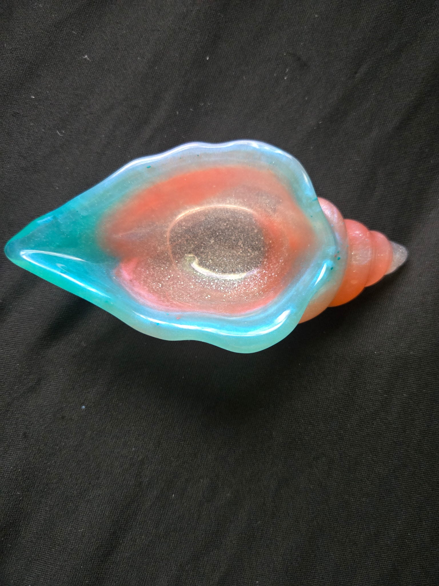 Sea shell