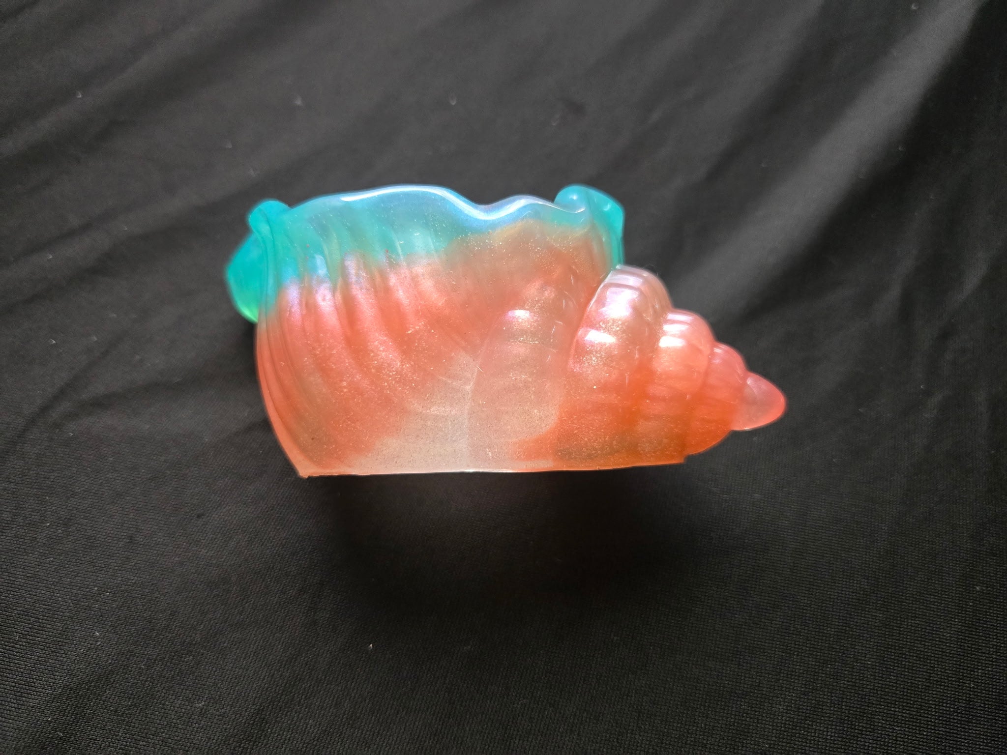 Sea shell
