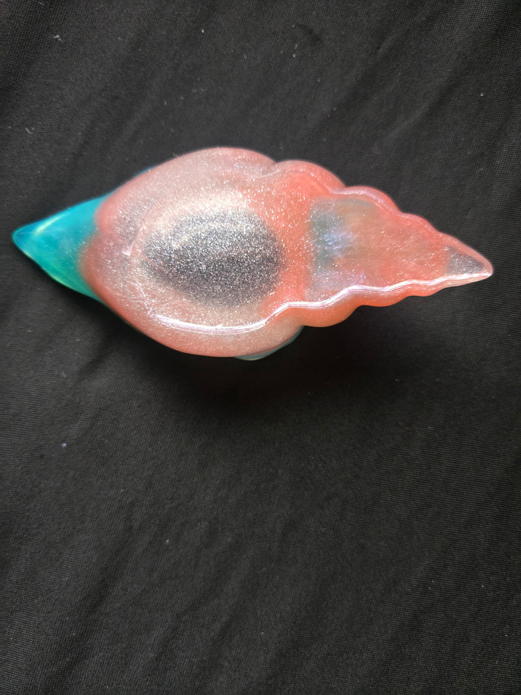 Sea shell